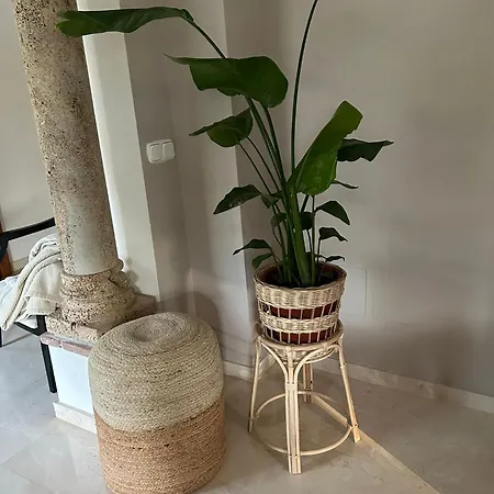 Heal Villa Marbella